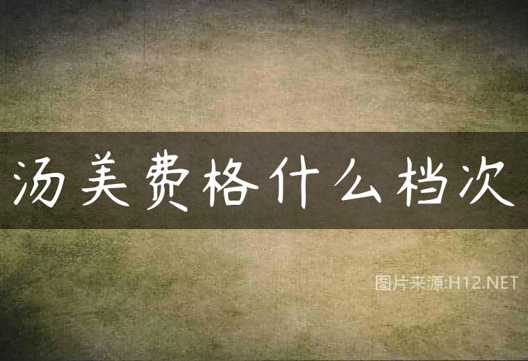 汤美费格什么档次
