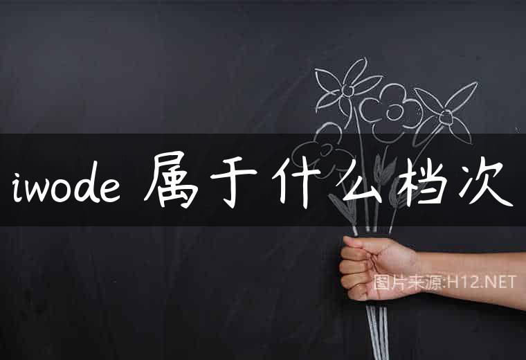 iwode 属于什么档次