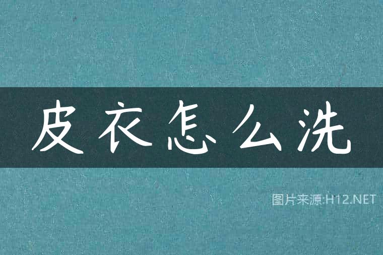 皮衣怎么洗