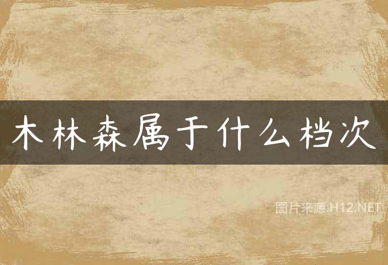 木林森属于什么档次