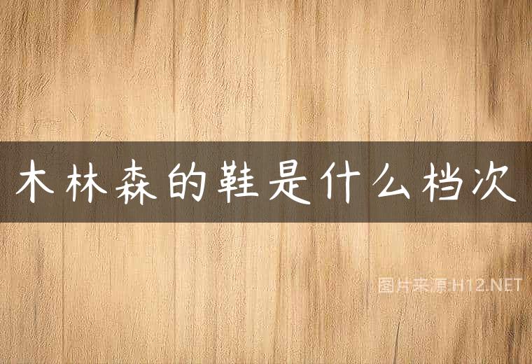 木林森的鞋是什么档次