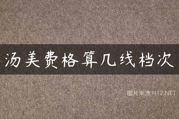 汤美费格算几线档次