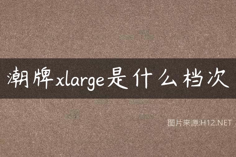 潮牌xlarge是什么档次
