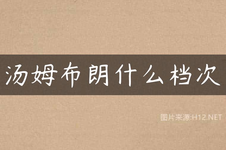 汤姆布朗什么档次