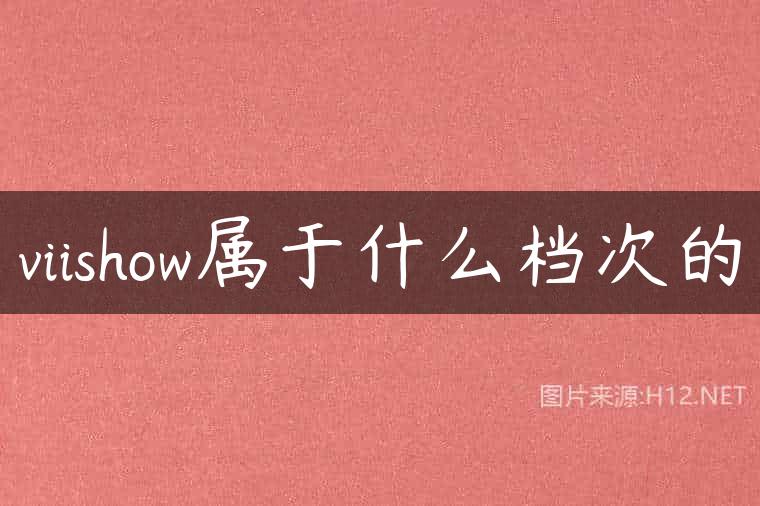 viishow属于什么档次的