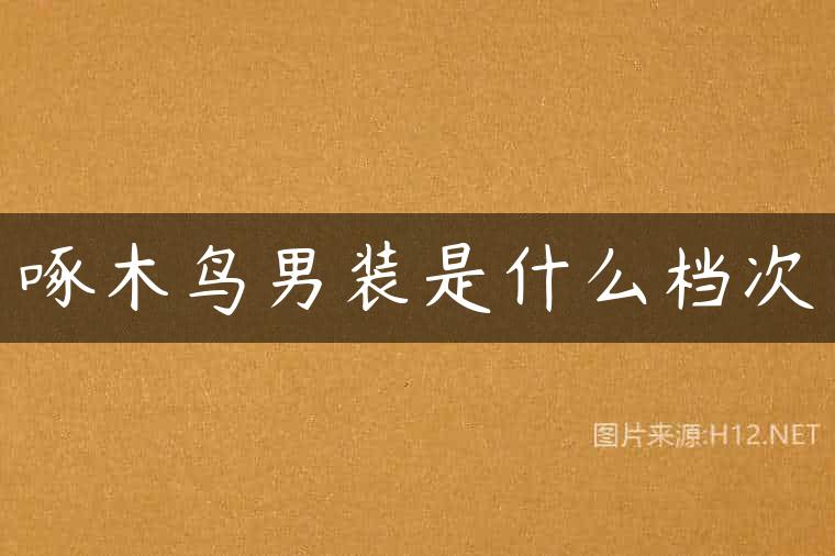 啄木鸟男装是什么档次