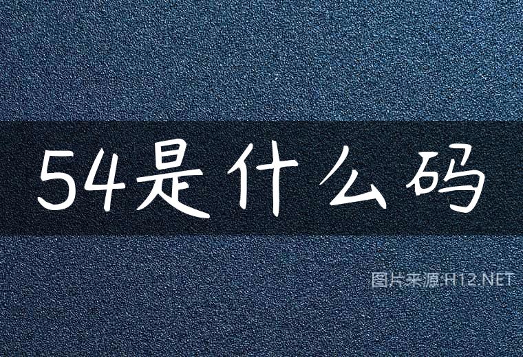 54是什么码