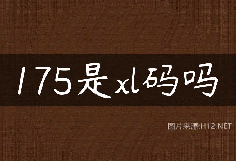 175是xl码吗