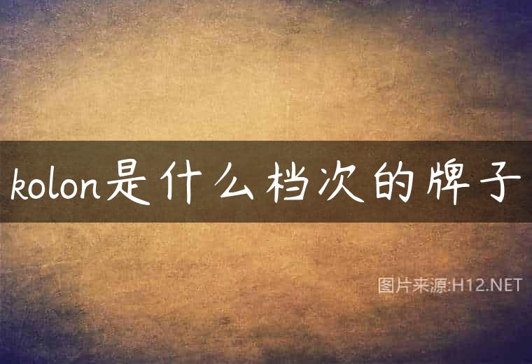 kolon是什么档次的牌子
