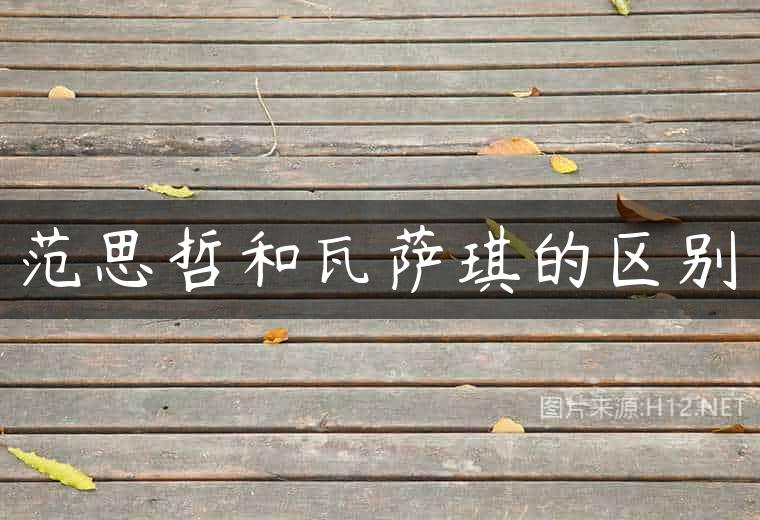 范思哲和瓦萨琪的区别