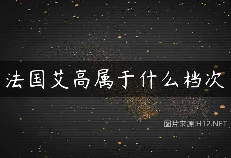 法国艾高属于什么档次
