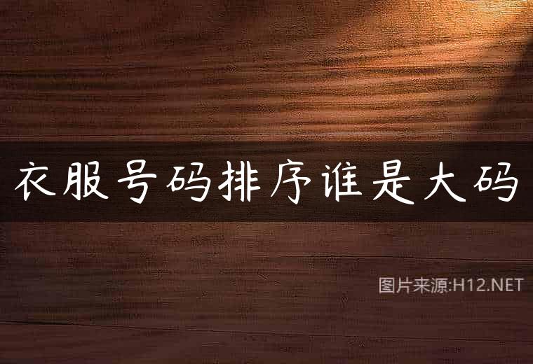 衣服号码排序谁是大码