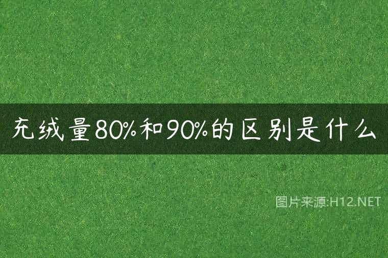 充绒量80%和90%的区别是什么