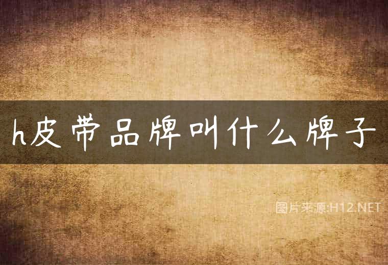 h皮带品牌叫什么牌子
