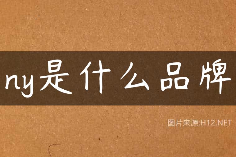ny是什么品牌