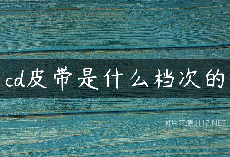 cd皮带是什么档次的
