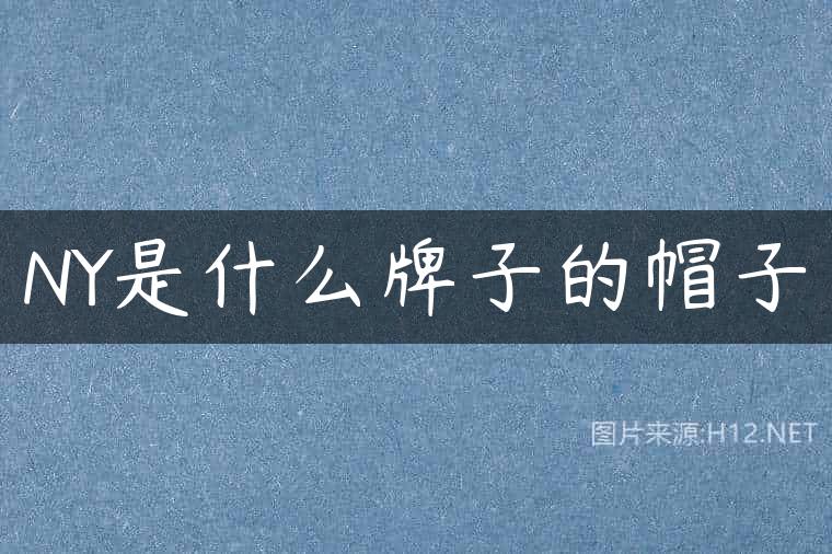 NY是什么牌子的帽子