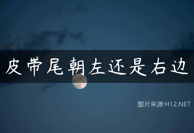 皮带尾朝左还是右边