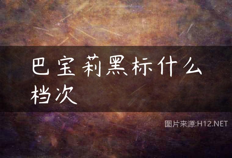 巴宝莉黑标什么档次
