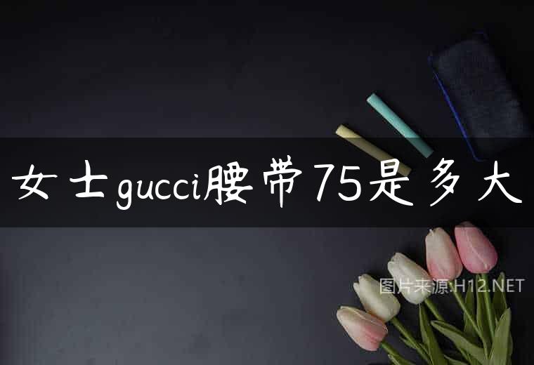 女士gucci腰带75是多大