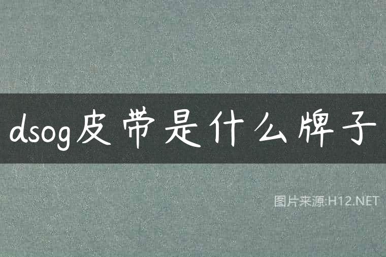 dsog皮带是什么牌子