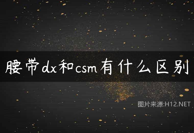 腰带dx和csm有什么区别