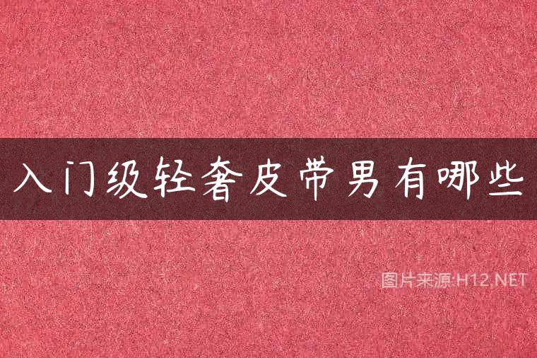 入门级轻奢皮带男有哪些