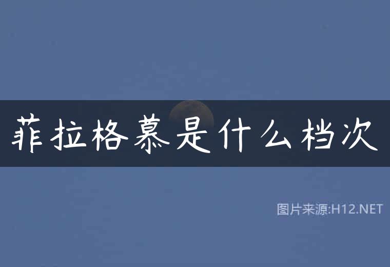 菲拉格慕是什么档次