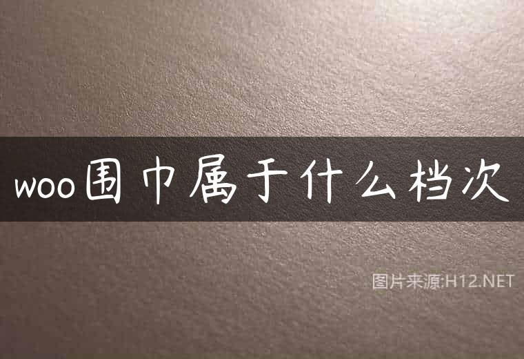 woo围巾属于什么档次