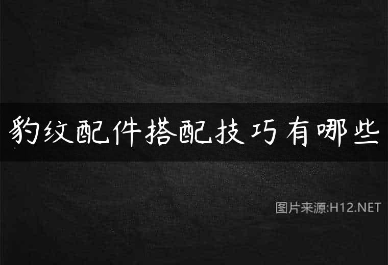 豹纹配件搭配技巧有哪些
