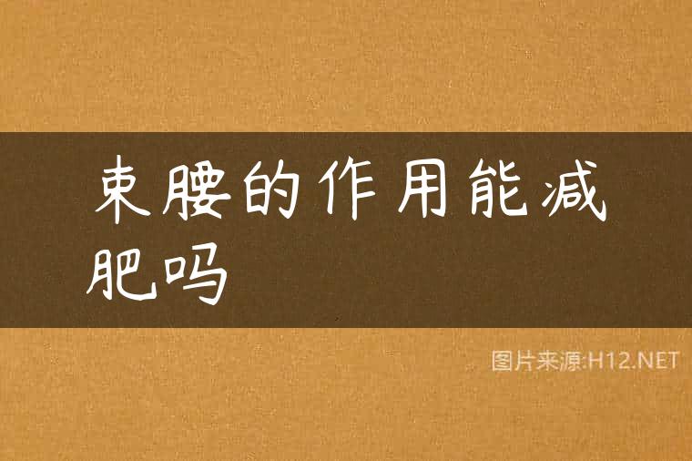 束腰的作用能减肥吗