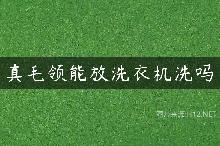真毛领能放洗衣机洗吗