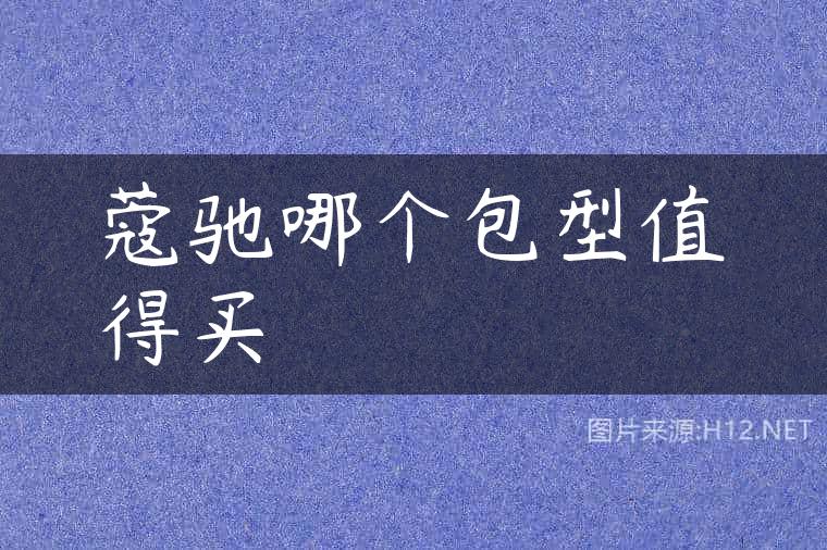 蔻驰哪个包型值得买