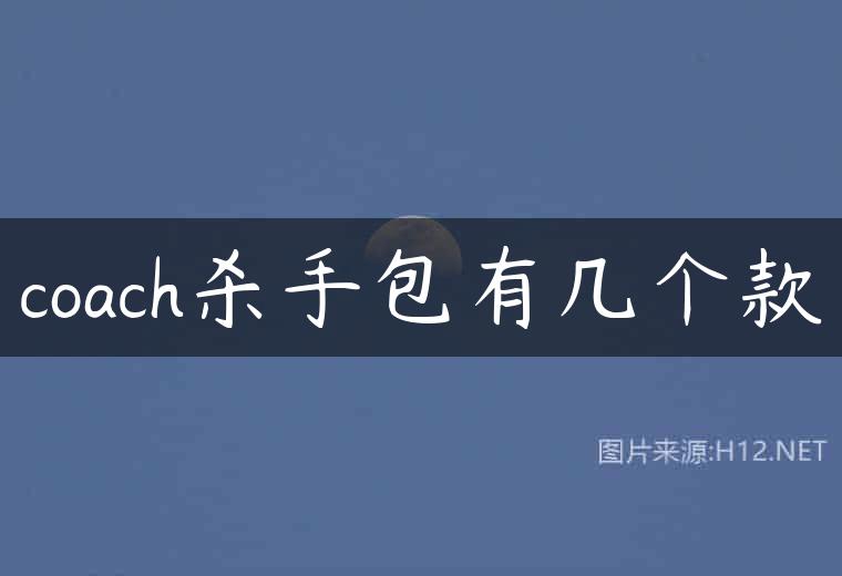 coach杀手包有几个款