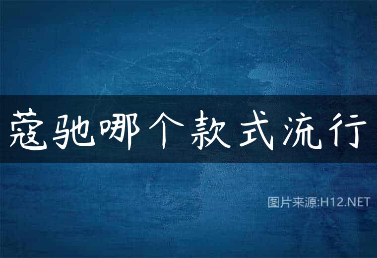 蔻驰哪个款式流行