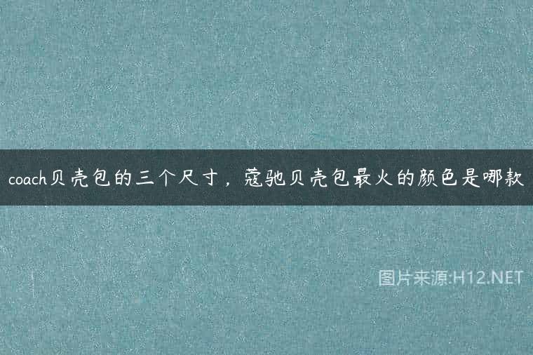 coach贝壳包的三个尺寸，蔻驰贝壳包最火的颜色是哪款