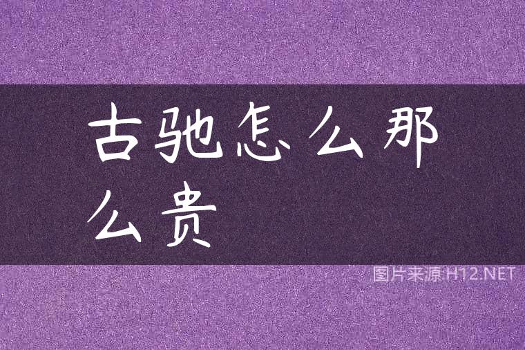 古驰怎么那么贵