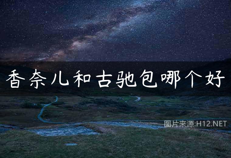 香奈儿和古驰包哪个好