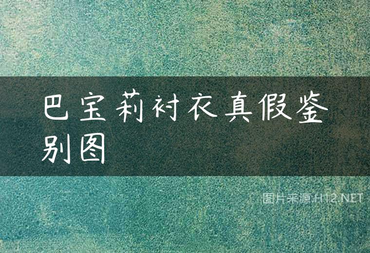 巴宝莉衬衣真假鉴别图