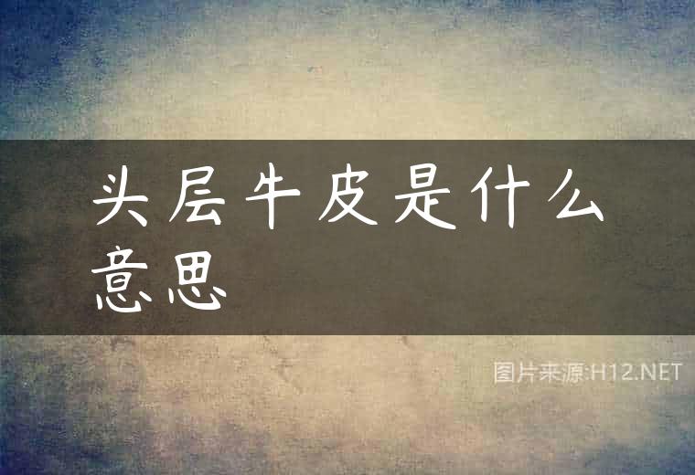 头层牛皮是什么意思