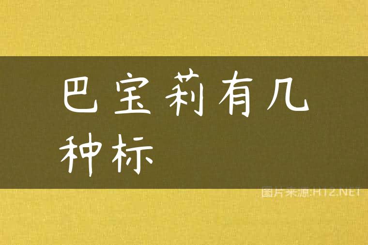 巴宝莉有几种标