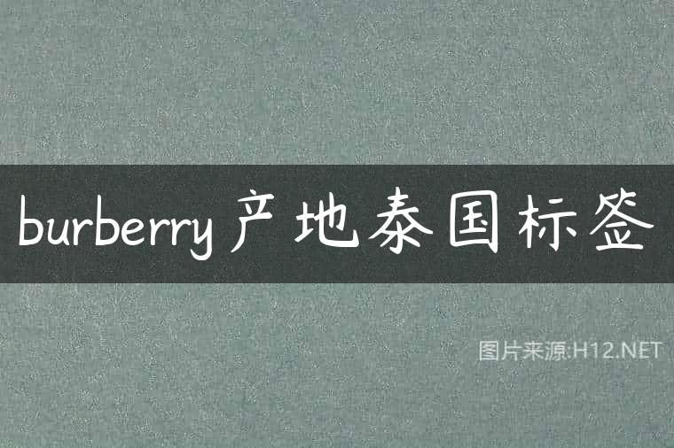 burberry产地泰国标签