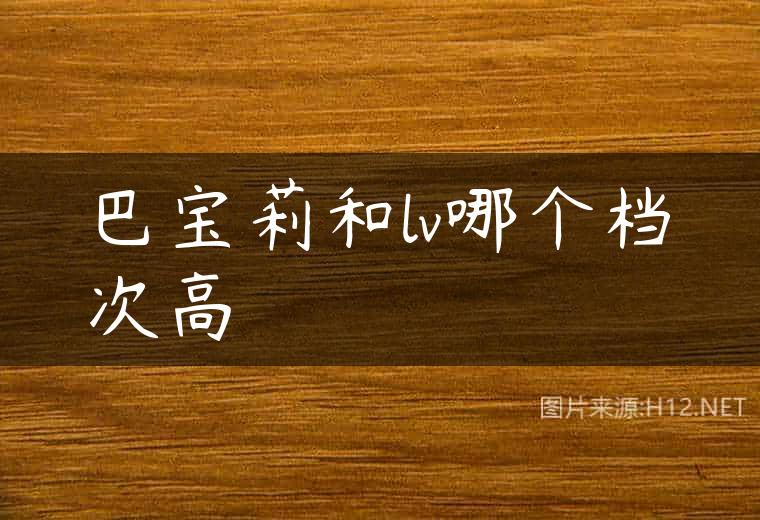巴宝莉和lv哪个档次高