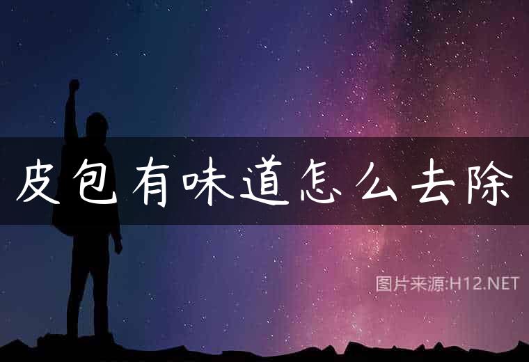 皮包有味道怎么去除