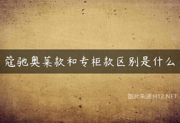 蔻驰奥莱款和专柜款区别是什么