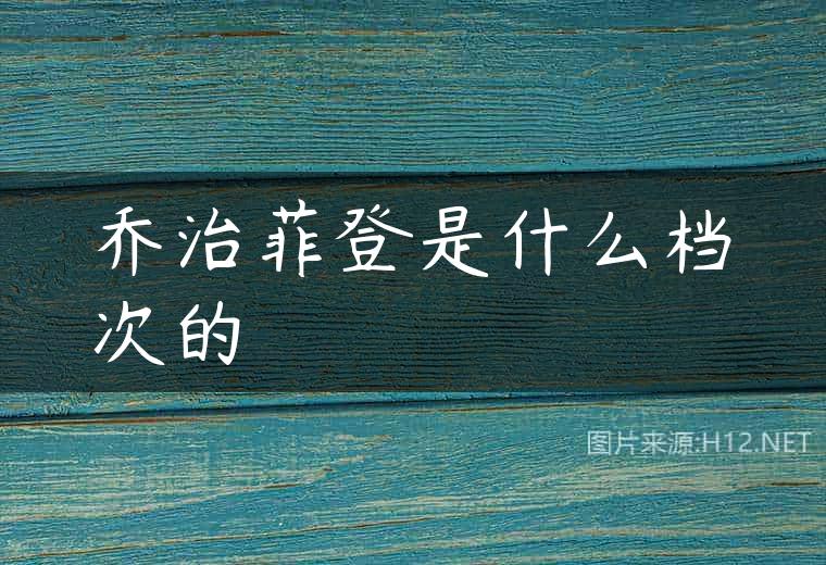 乔治菲登是什么档次的