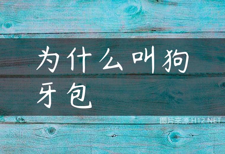 为什么叫狗牙包