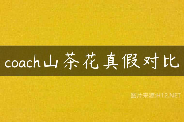 coach山茶花真假对比