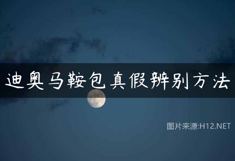 迪奥马鞍包真假辨别方法
