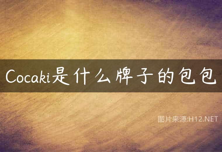 Cocaki是什么牌子的包包